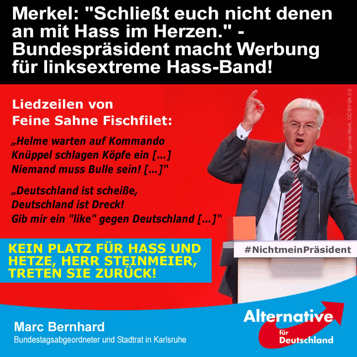 Steinmeier-Hass
