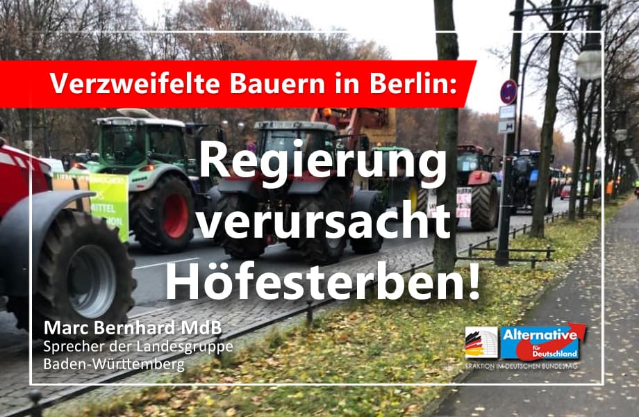 20191127 Hoefesterben