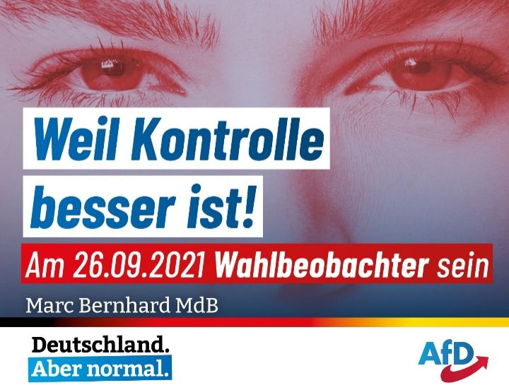 Wahlbeobachter