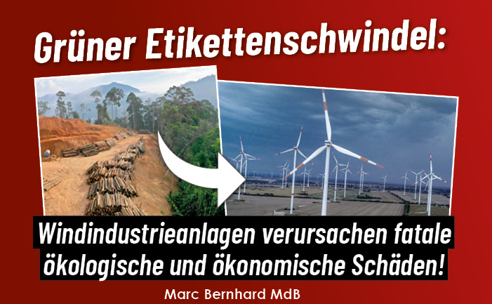 Tropenholz für deutschen Windkraft-Fanatismus