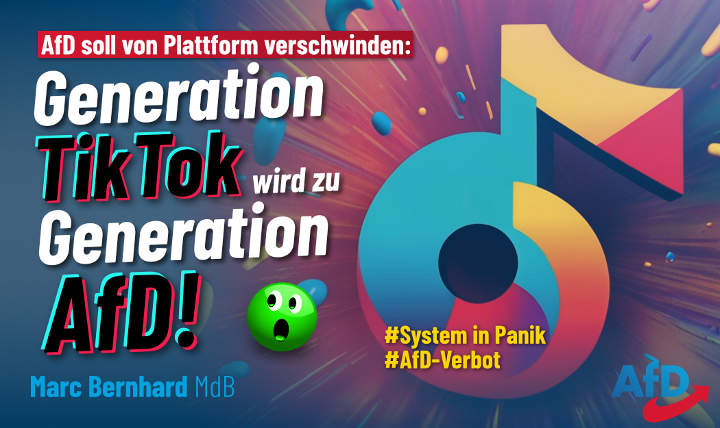 2024-03-18 Tiktok-AfD-Verbot_2