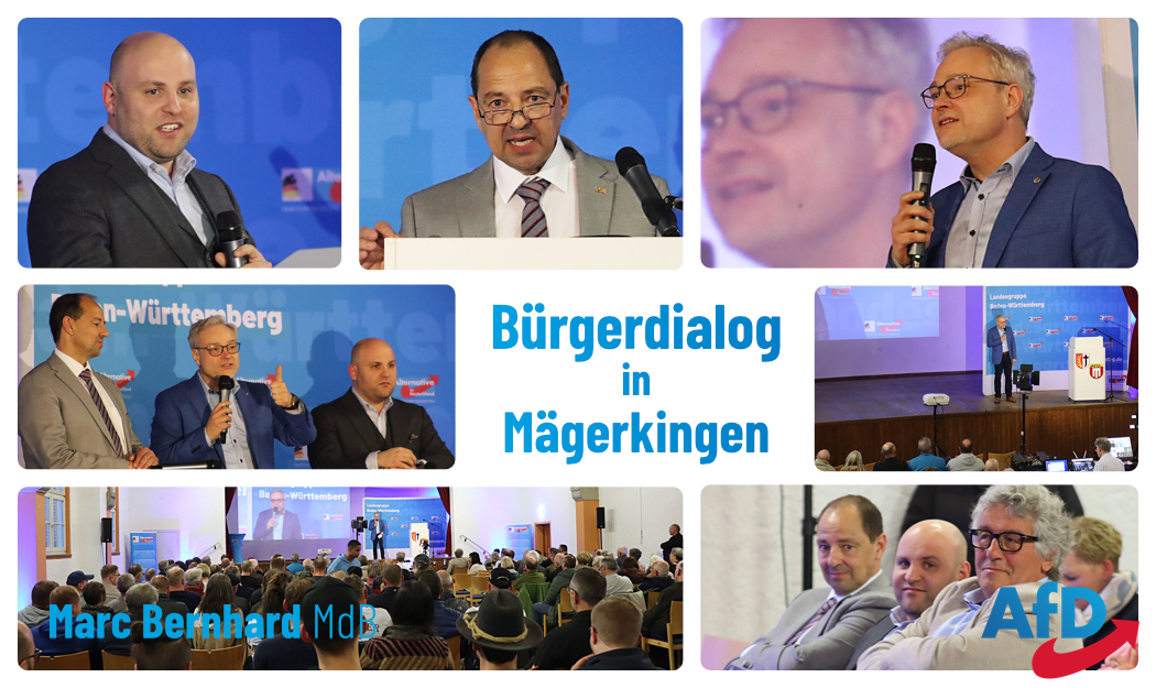 2024-04-20 Collage Bürgerdialog Mägerkingen_2
