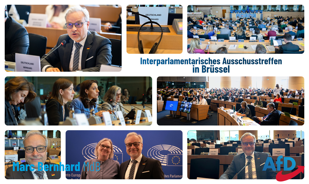 2025-04-10 Collage EU Committee Meeting_2