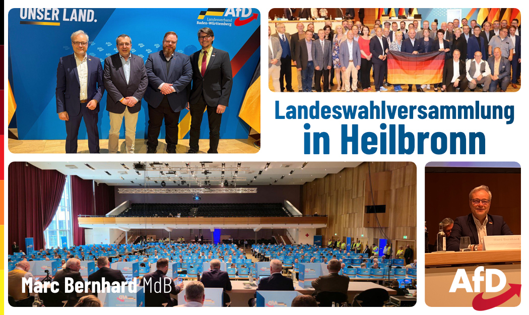 2025-06-02 Landeswahlversammlung_2
