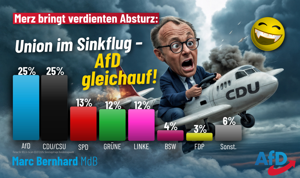 2025-07-24 Umfrage Forsa_2
